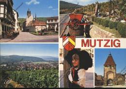 MUTZIG Bas Rhin 67 : Multivues Place Marché Vendanges Vue Depuis Les Vignes Fille Alsacienne Porte   Blason Héraldique - Mutzig