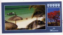 Carte Postale Et Enveloppe Décorée ILE MAURICE PLAGE MAURITIUS 1996  FORMAT 10,5 X 20 - Mauritius