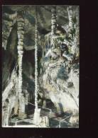 CPM Neuve 46 Environs De SAINT CERE Grotte De Presque Les Cierges - Saint-Céré