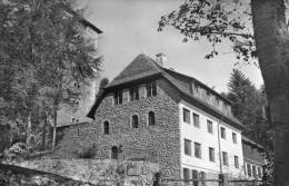 Hornberg - Waldschulheim Burg Hornberg - Hornberg