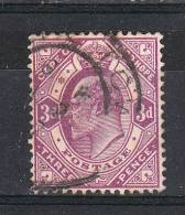 Capo Di Buona Speranza   -   1903/04.  Edoardo VII   3 Pence  Lilla - Kaap De Goede Hoop (1853-1904)