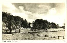 Arnhem - Grote Weide Sonsbeek - Arnhem