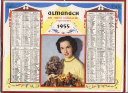 ALMANACH  DES POSTES ET DES TELEGRAPHES(   1955) Le Charmant Compagnon (caniche) - Grand Format : 1941-60