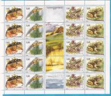 1995X  2707-10  JUGOSLAVIJA FAUNA RANE  Amphibians  PROTECTION NATURA  5  STRIPS  MNH - Blocchi & Foglietti
