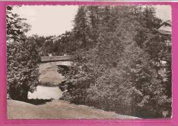 LE CHAMBON SUR LIGNON   -    * LE  PONT SUR LE LIGNON *    -   Editeur : A. VIAL De ST ETIENNE    N° 6017 - Le Chambon-sur-Lignon