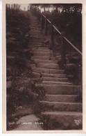 UK England View On Chevin Otley Real Photo Vintage Original Postcard Ca1900 Ak Cpa [WIN3_298] - Leeds