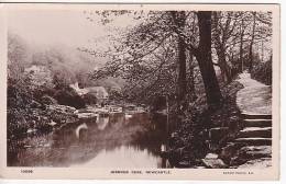 Uk England  Jesmond Dene Newcastle Real Photo Vintage Original Postcard Ca1900 Ak Cpa [WIN3_309] - Newcastle-upon-Tyne