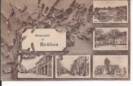 Souvenir De BRULON - Brulon