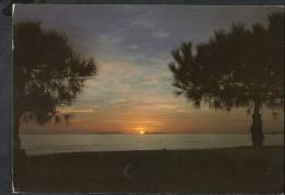 E1990 Oristano ( Sardegna ) - Tramonto A Marina Di Torregrande - Cuoucher, Sunset, Sonnentunteragang - Ed. Balzano - Oristano