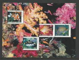 2011 Fish Mini Sheet Only Available From The 2011 Year Book Mini Sheet Set Of 4  Stamps Complete Mint Unhinged Gum - Nuevos