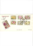 Carta De Flores De 1964 - Covers & Documents