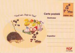 HEDGEHOG,POST CARD,STATIONARY,ENTIER POSTAL,UNUSED,ROMANIA - Rodents
