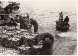 RETOUR DE LA PECHE  A LA SARDINE A LA TURBALLE PHOTOGRAPHE CHOLET RARE - La Turballe