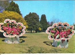 Corea Del Sud- Korean Traditional Customs Fan Dance - Korea, South