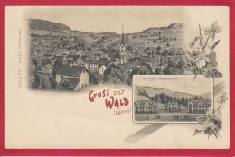 WALD, ZÜRCHER OBERLAND, LITHO 1899 - Wald