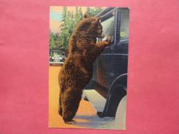 Hold Up Bear ---Yellowstone National Park   Linen  # 932  Linen  ---- -- - - Ref   681 - Ours