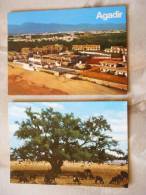 Maroc - Morocco - Agadir - Arbre De Chevres  -2 Postcards    D79069 - Agadir