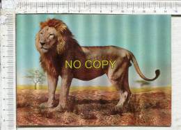 CARTE  VISEO REFLETS  -     Wild Life - Dierelewe -  The LION Is Magnificenty Regal - Leones