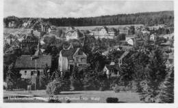 Oberhof - Ortsansicht 1955   L1 - Oberhof