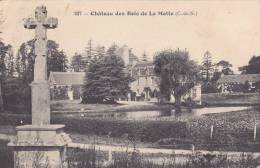 ¤¤  -   237   -   PLESLIN-TRIGAVOU   -  Château Des Bois De La Motte  -  Le Calvaire   -  ¤¤ - Sonstige & Ohne Zuordnung