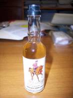 Susy Liquore: Bottiglia Mignon Tappo Plastica. Distillerie Gavioli Giuseppe E Figli Snc Bomporto Modena - Spirits