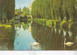 BR22563 Le Parc  Swan Cigne Fresnes     2 Scans - Fresnes