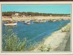 17 - LA PALMYRE - Le Port De Plaisance - Les Mathes