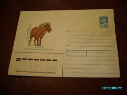 USSR  RUSSIA   ESTONIA  TALLINN  ZOO  , IBEX ,   POSTAL STATIONERY COVER , 1989 - Cartas & Documentos