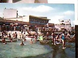 BISCEGLIA  LIDO  CONCHIGLIA ADRIATICA 1975 VB2000  DY5724 - Bisceglie