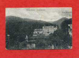 -* ALLEMAGNE-BERGZABERN-Friedrichsruhe  -1921(Voir Les 2 Timbres) - Bad Bergzabern