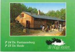 België/Belgique, Kasterlee, De Hoge Rielen, 2001 - Kasterlee