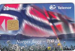 Norway, N118, Norges Flagg, 2 Scans. - Norwegen