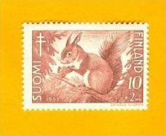 Finland 1953, Écureuil Roux Red Squirrel Eichhörnchen MNH ** - Rodents