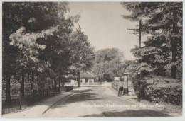 Netherland - Oosterbeek - Stationsweg Met Station - Hoog - Oosterbeek