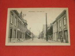 ERQUELINNES  -  Rue Albert I - Erquelinnes