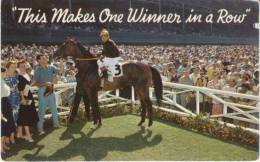 Jockey On Winning Race Horse At Unknown Racetrack On C1960s Vintage Postcard - Reitsport