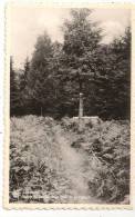 CPSM ENTREE DU SENTIER DE LA FORÊT DE St SAINT HUBERT LIBRAMONT CHASSE CHASSEUR - Libramont-Chevigny