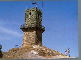 (330) Australia - SA - Mount Gambier Centenary Tower - Altri & Non Classificati