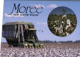 (849) Australia - NSW - Moree Farming Tractor In Cotton Field - Autres & Non Classés