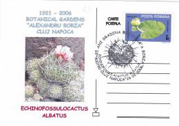 CACTUS,ECHINOFOSSULOCACTUS ALBATUS,BOTANICAL GARDENS"ALEXANDRU BORZA",2006,POST CARD,OBITERATION CONCORDANTE,ROMANIA - Sukkulenten