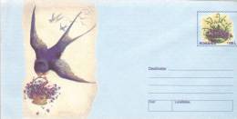 SWALLOW,HIRONDELLES,1999,COVER STATIONERY,ENTIER POSTAL,UNUSED,ROMANIA - Zwaluwen