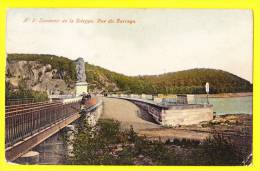 * Liège - Luik (La Wallonie) * (nr 5) La Gileppe, Souvenir De La Gileppe, Vue Du Barrage, Stuwdam, Lion, Leeuw, CPA - Gileppe (Barrage)