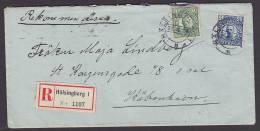 ## Sweden Registered Recommandée Einschreiben HÄLSINGBORG Label 1916 Cover Brief KÖBENHAVN Denmark J. LINDBERG (2 Scans) - Storia Postale