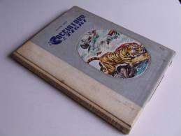 P313 Il Cacciatore Di Tigri, Mayne Reid, Editore Boschi, Romanzo Per Ragazzi, Collana Strenna, 1959 - Teenagers En Kinderen