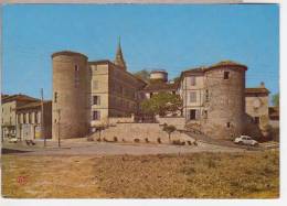 81.079/ SALVAGNAC - Le Chateau Cpm - Salvagnac