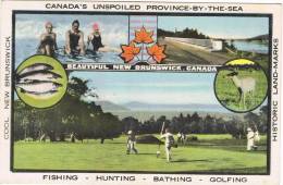 Postal CANADA, New Brunswick,  Fishing, Hunting, Bathing, Golfing - Autres & Non Classés