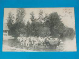 21) Mirebeau-sur-bèze - La Bèze à Mirebeau  - Année 1904 - EDIT - Bergeret - Mirebeau