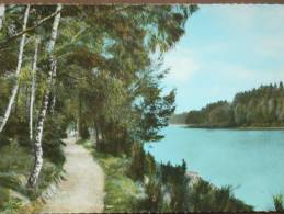 58 - LES SETTONS - Le Lac A Une Superficie De 360 Ha... (Chemin De Bord Du Lac). CPSM - Montsauche Les Settons