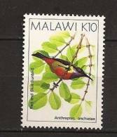 Malawi 1988 N° 528 ** Courant, Oiseau, Animaux, Anthreptes Anchietae - Malawi (1964-...)