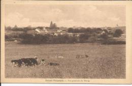 Cpa, Sauzé-Vaussais (Deux-Sèvres), Vue Générale Du Bourg - Sauze Vaussais